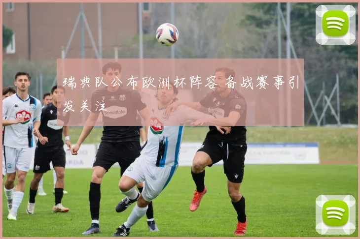 瑞典队公布欧洲杯阵容 备战赛事引发关注
