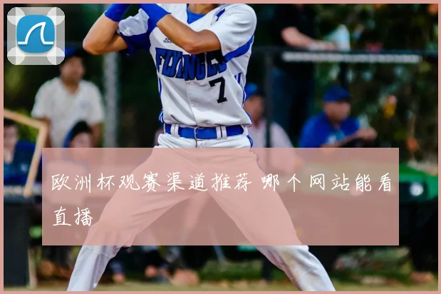 欧洲杯观赛渠道推荐 哪个网站能看直播
