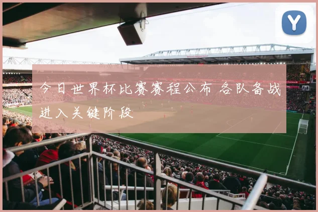 今日世界杯比赛赛程公布 各队备战进入关键阶段